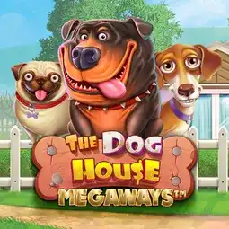 The Dog House Megaways game at Jaak Casino for United Kingdom players